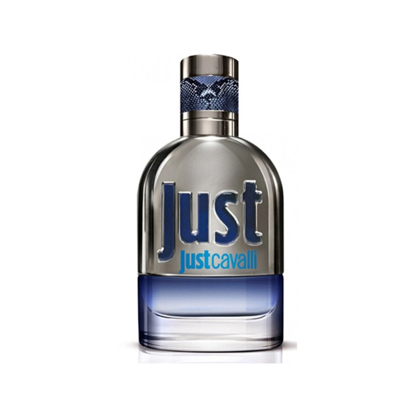 ادکلن روبرتو کاوالی Roberto Cavalli Just Cavalli Him 2013 EDT